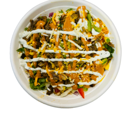 Saucy Burrito BowlZ